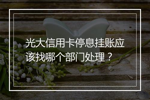 光大信用卡停息挂账应该找哪个部门处理？