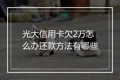 光大信用卡欠2万怎么办还款方法有哪些