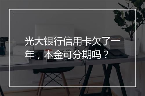 光大银行信用卡欠了一年，本金可分期吗？
