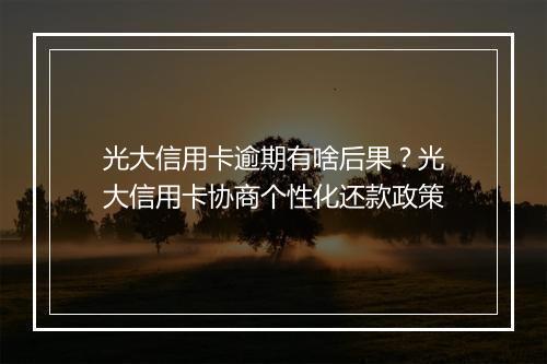光大信用卡逾期有啥后果？光大信用卡协商个性化还款政策