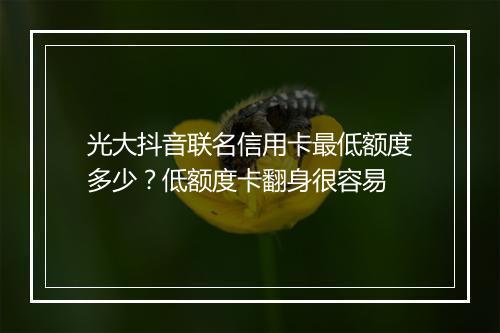 光大抖音联名信用卡最低额度多少？低额度卡翻身很容易