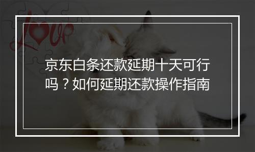 京东白条还款延期十天可行吗？如何延期还款操作指南