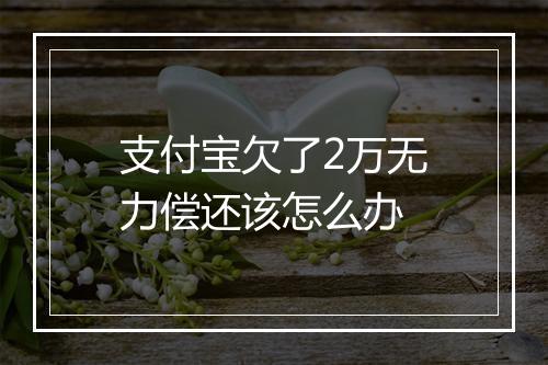 支付宝欠了2万无力偿还该怎么办