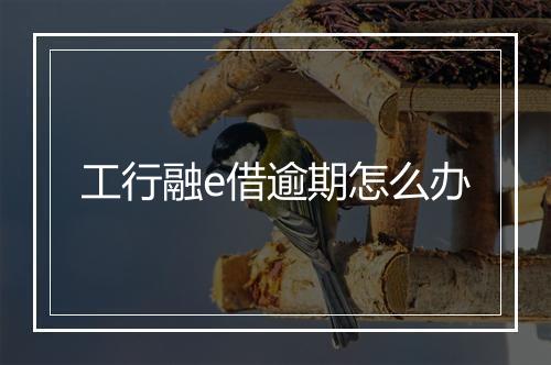 工行融e借逾期怎么办