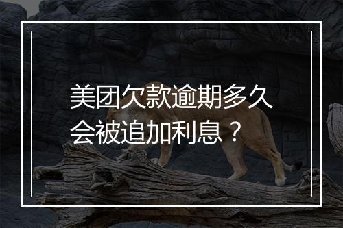 美团欠款逾期多久会被追加利息？