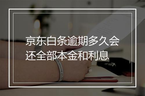 京东白条逾期多久会还全部本金和利息