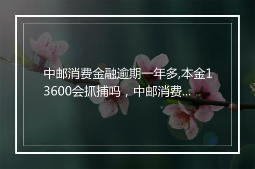 中邮消费金融逾期一年多,本金13600会抓捕吗，中邮消费金融逾期多久要求还全款