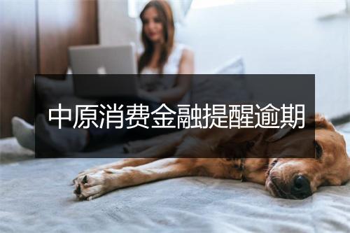 中原消费金融提醒逾期