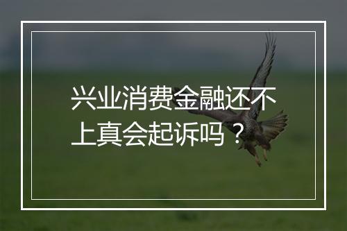 兴业消费金融还不上真会起诉吗？