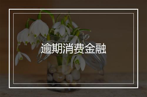 逾期消费金融