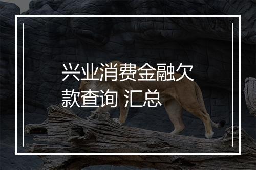兴业消费金融欠款查询 汇总