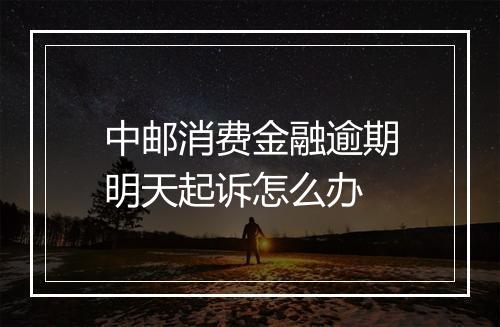 中邮消费金融逾期明天起诉怎么办