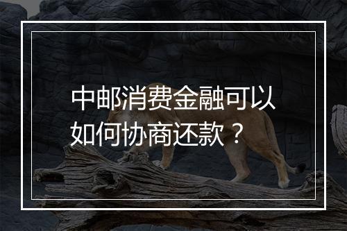 中邮消费金融可以如何协商还款？