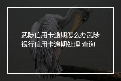 武陟信用卡逾期怎么办武陟银行信用卡逾期处理 查询