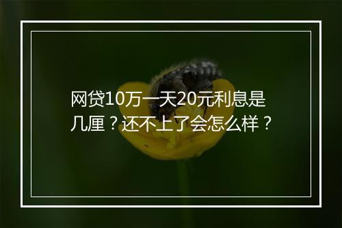 网贷10万一天20元利息是几厘？还不上了会怎么样？