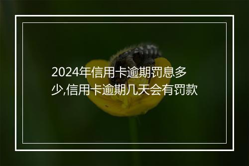 2024年信用卡逾期罚息多少,信用卡逾期几天会有罚款