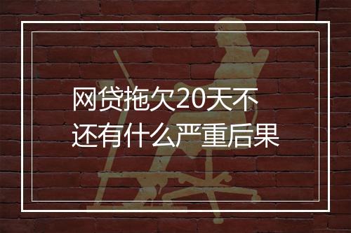 网贷拖欠20天不还有什么严重后果
