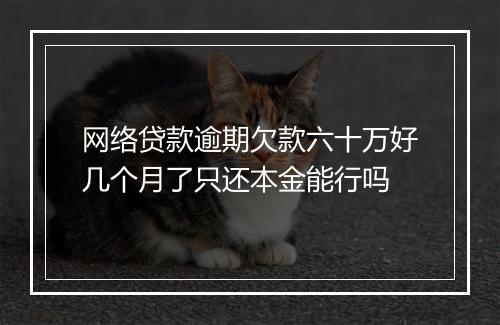 网络贷款逾期欠款六十万好几个月了只还本金能行吗