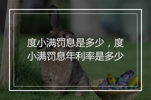 度小满罚息是多少，度小满罚息年利率是多少