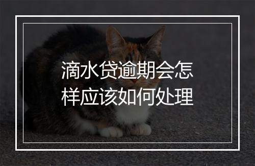 滴水贷逾期会怎样应该如何处理
