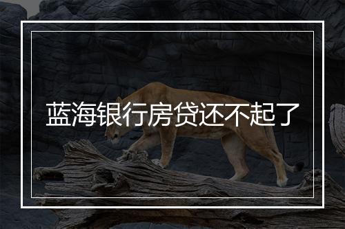 蓝海银行房贷还不起了