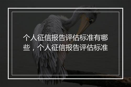 个人征信报告评估标准有哪些，个人征信报告评估标准