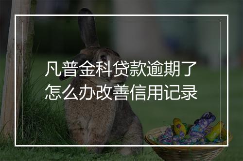 凡普金科贷款逾期了怎么办改善信用记录