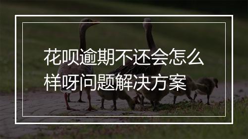花呗逾期不还会怎么样呀问题解决方案