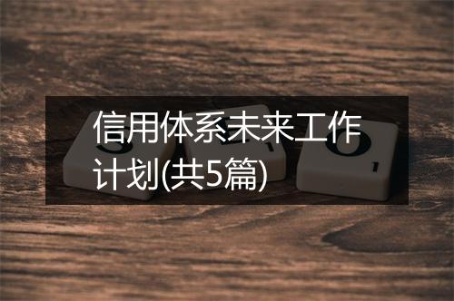 信用体系未来工作计划(共5篇)