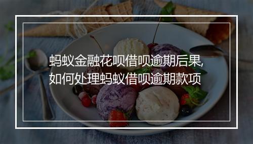 蚂蚁金融花呗借呗逾期后果,如何处理蚂蚁借呗逾期款项