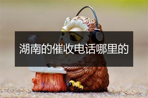 湖南的催收电话哪里的