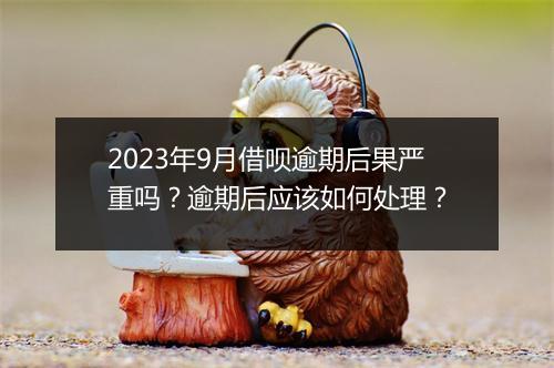 2023年9月借呗逾期后果严重吗？逾期后应该如何处理？