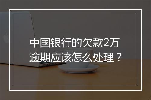 中国银行的欠款2万逾期应该怎么处理？