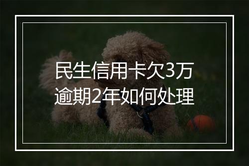 民生信用卡欠3万逾期2年如何处理