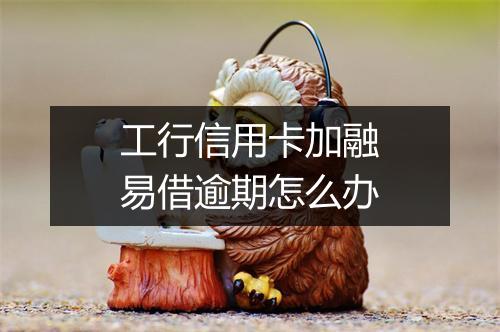 工行信用卡加融易借逾期怎么办