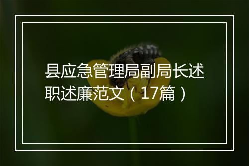县应急管理局副局长述职述廉范文（17篇）