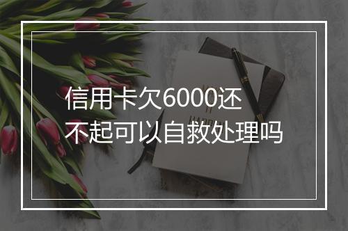 信用卡欠6000还不起可以自救处理吗