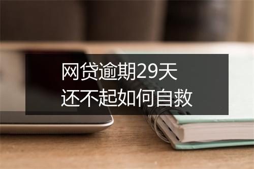 网贷逾期29天还不起如何自救