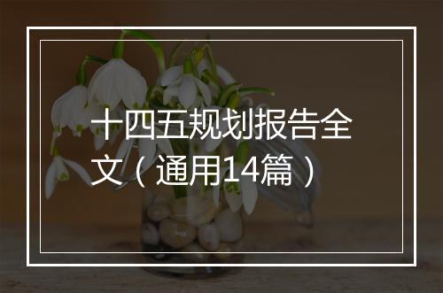 十四五规划报告全文（通用14篇）