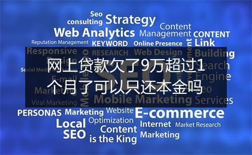 网上贷款欠了9万超过1个月了可以只还本金吗
