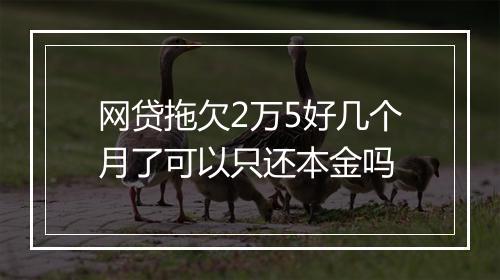 网贷拖欠2万5好几个月了可以只还本金吗