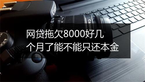 网贷拖欠8000好几个月了能不能只还本金