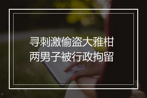 寻刺激偷盗大雅柑 两男子被行政拘留