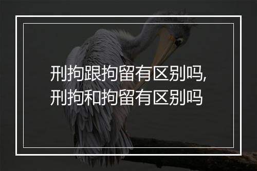 刑拘跟拘留有区别吗,刑拘和拘留有区别吗