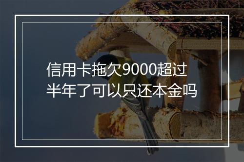 信用卡拖欠9000超过半年了可以只还本金吗