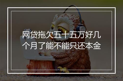 网贷拖欠五十五万好几个月了能不能只还本金