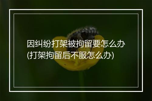 因纠纷打架被拘留要怎么办(打架拘留后不服怎么办)