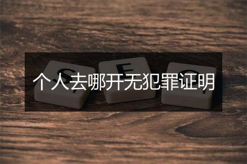 个人去哪开无犯罪证明
