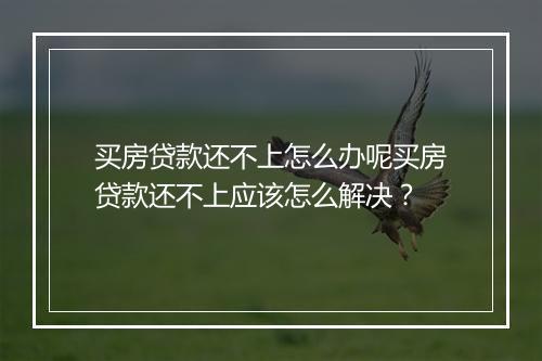 买房贷款还不上怎么办呢买房贷款还不上应该怎么解决？