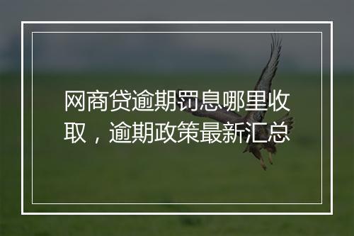 网商贷逾期罚息哪里收取，逾期政策最新汇总